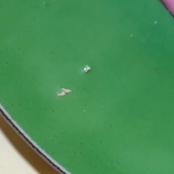 Nevada State Handpainted Ceramic Collectible Decorative Souvenir Plate 8 inches - Picture 6 of 8